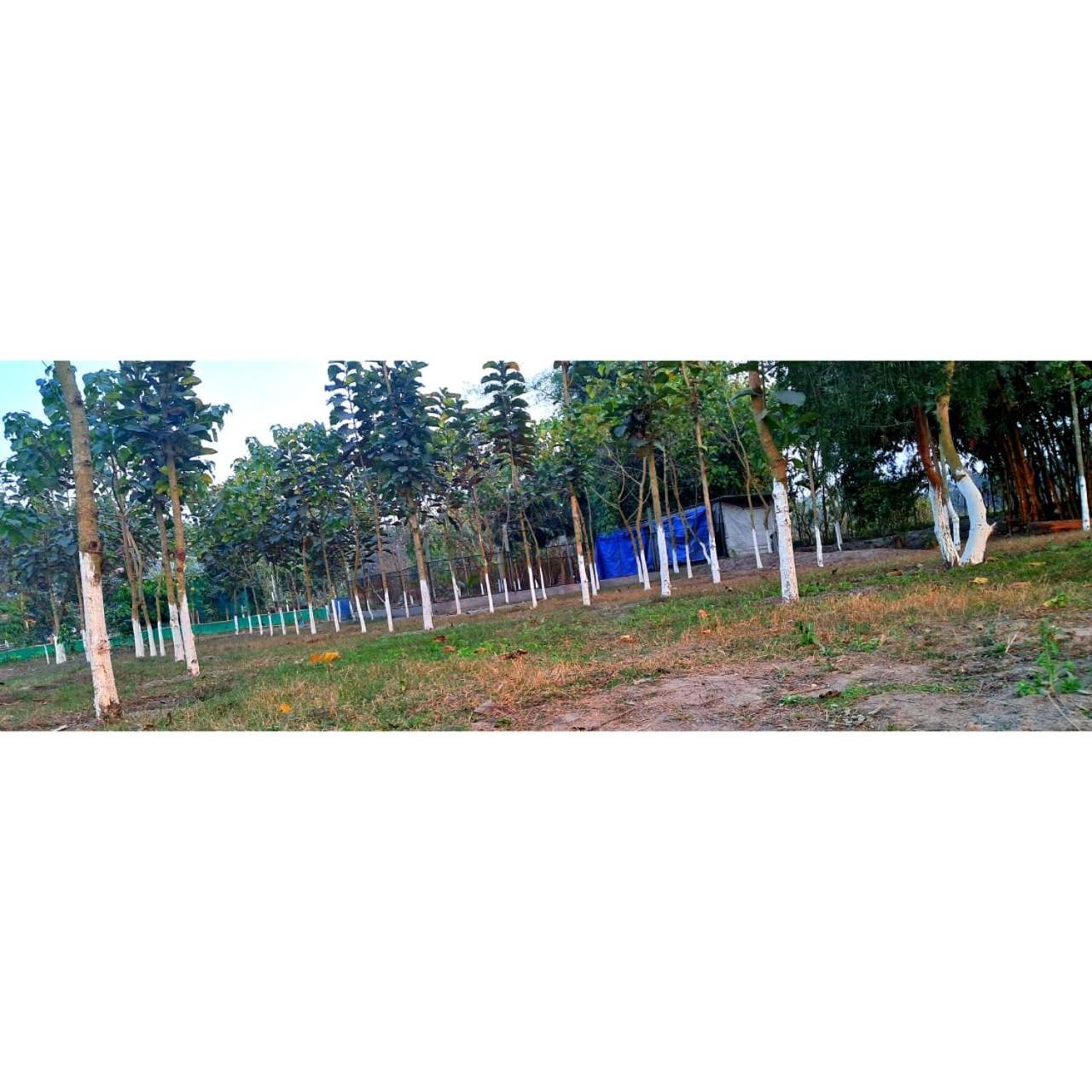 Krishna Farms And Village Resort Siliguri Bagian luar foto